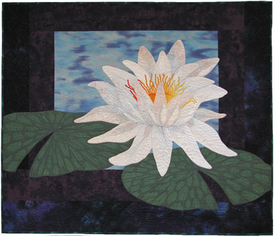Single Water Lily